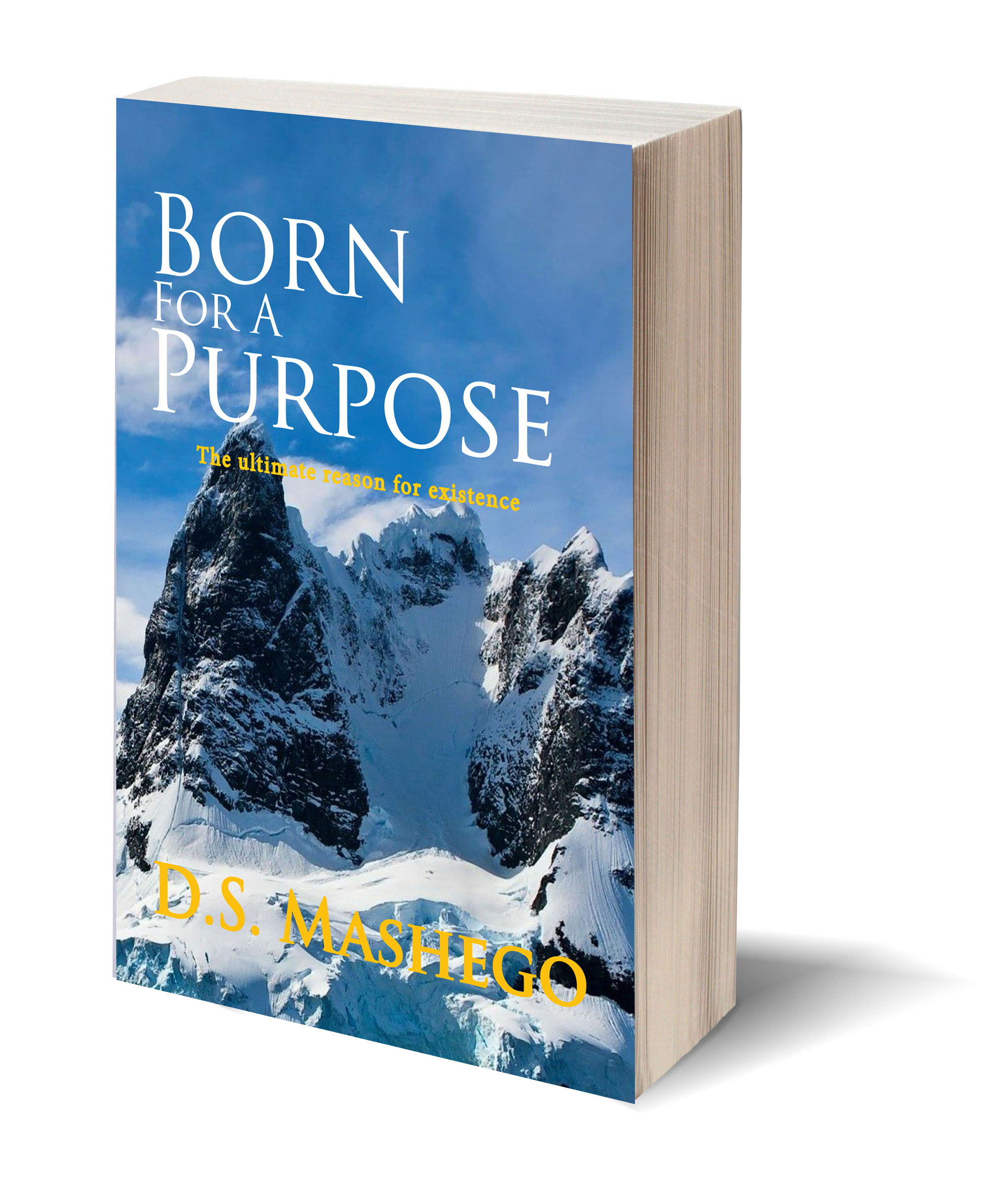 Blank bookcover with clipping path